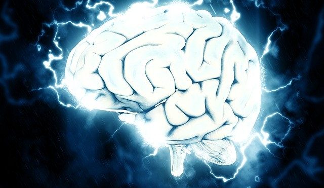 MEMORY-EFFEKT – DAS WISSEN ABSPEICHERN