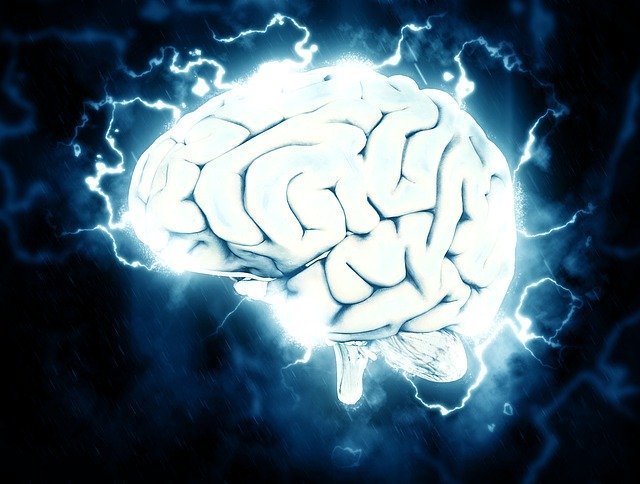 MEMORY-EFFEKT – DAS WISSEN ABSPEICHERN